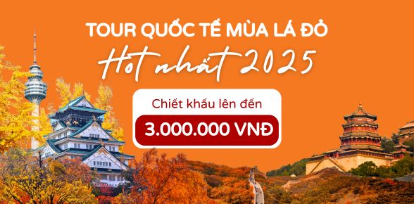 Tour quốc tế